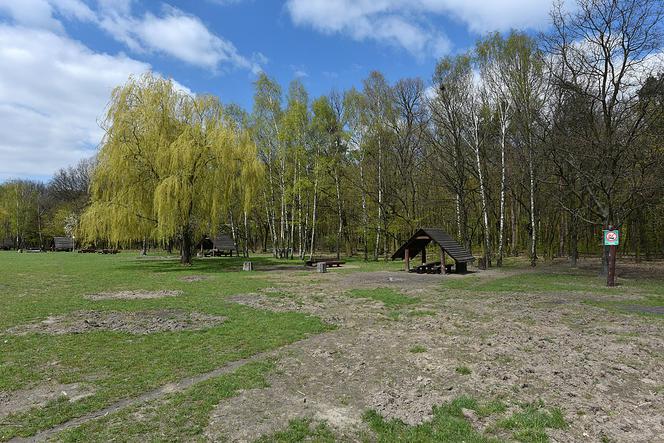 Gdzie oglądać zaćmienie Księżyca? Zobacz najlepsze punkty na obserwowanie gwiazd [GALERIA]