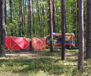 Tragedia na Lubelszczyźnie. Nie żyje 14-latka, która spadła z konia  