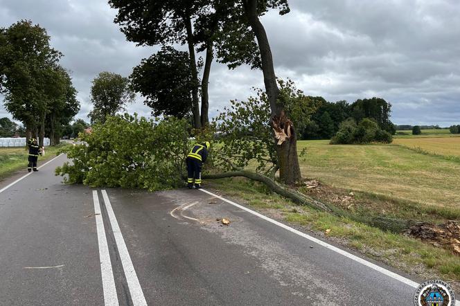 Wichury w Podlaskiem. Setki interwencji strażaków w całym regionie