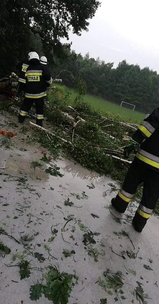 Nawałnica w gminie Lisia Góra łamała drzewa jak zapałki. Potężne zniszczenia 