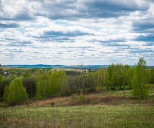 Pięć nowych rezerwatów przyrody na Podkarpaciu. Wiemy, gdzie powstaną