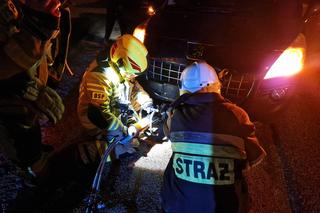Potrącony przez samochód pies zakleszczył się w zderzaku