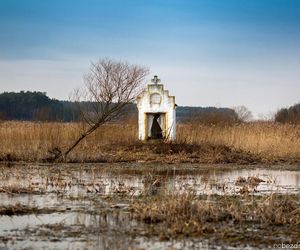 Kapliczka jak z thrillera w Łódzkiem. Położona jest na mokradłach, pośrodku niczego