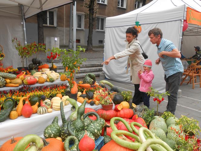 Żółte, pomarańczowe i zielone - za nami V festiwal "Zaklęte w dyni".