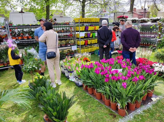 Impreza "Wiosna na polu i w ogrodzie" w Siedlcach co roku cieszy się ogromnym powodzeniem mieszkańców miasta i regionu