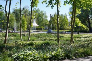 TOP 10 najbardziej zielonych miast woj. warmińsko-mazurskiego