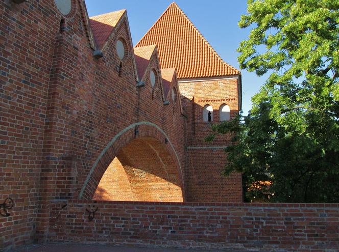 Schloss Thorn, zamek w Toruniu