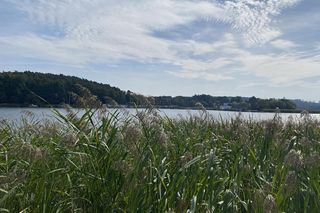 Jezioro Barlineckie 