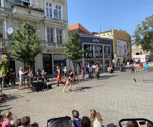 Busker Tour 2024 w Zielonej Górze