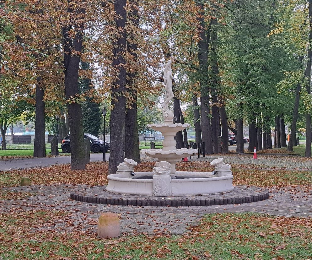 Najlepsze miejsca na jesienną sesję zdjęciową w Krakowie. Są łatwo dostępne i mają w sobie wiele magii [GALERIA] 