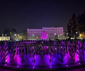 Iluminacje zmienią barwę. Lublin włączy się symbolicznie w międzynarodową akcję