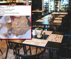 Larwy much w kebabie? Klientka z Bydgoszczy alarmuje, lokal odpowiada: Jesteśmy zszokowani