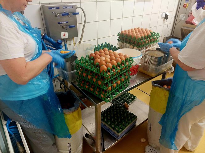 Cukiernia Sowa, linia produkcyjna