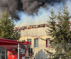 Ogromny pożar pod Zieloną Górą! Płonie hala firmy DBW. Jest pilny apel do mieszkańców