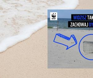 Tajemniczy kosz na plaży.  WWF ostrzega: Zachowaj dystans 