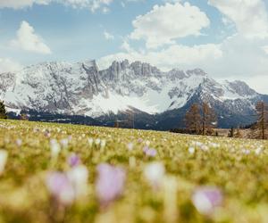 Południowy Tyrol