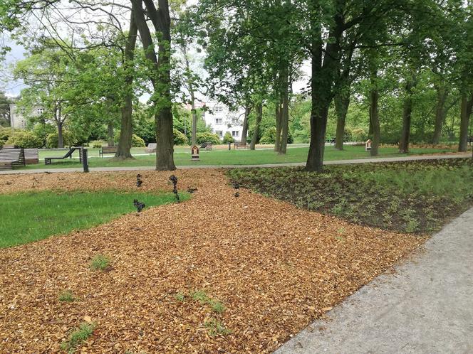 Park Glazja