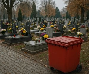 Pojawiają się już na cmentarzach w Polsce. To zupełna nowość!