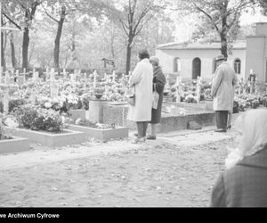 Cmentarze Powązkowskie - 1946-1963