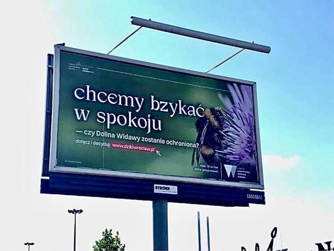 „Kochaj, nie rżnij”, „Chcemy bzykać w spokoju" czy „Chcemy mieć mokro”