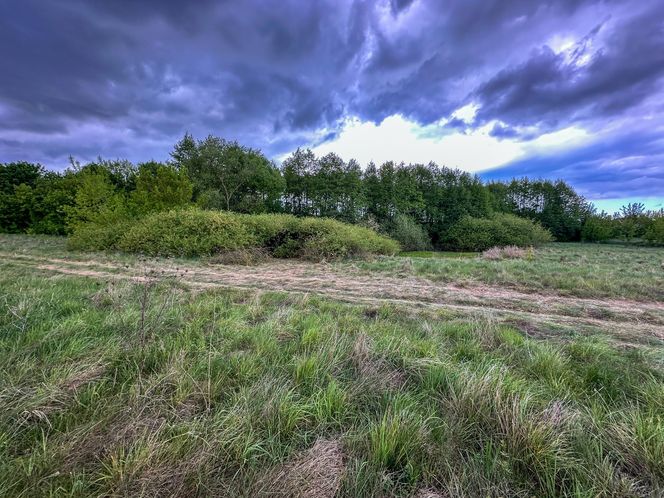 Podejrzany o zabójstwo Mai z Mławy miał problemy z agresją? Jego znajomi zdradzają. „Potrafił wkurzyć się z niczego”