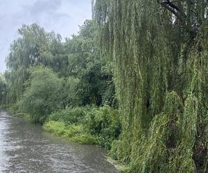 Brynica woj. śląskie - Sosnowiec, Stawiki