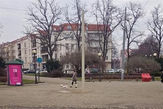Słupoza zaatakowała kolejne miejsce w centrum Szczecina. Radny reaguje. Kompletne pominięcie jakiegokolwiek porządku
