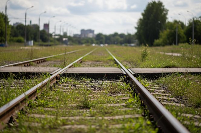 Tramwaj 46 powraca do Zgierza. Czy ruszy w stronę Ozorkowa?