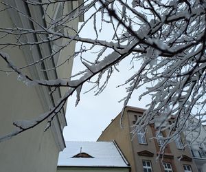 Leszno wygląda bajkowo! Na walentynki sypnęło śniegiem