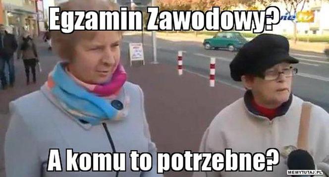 Egzamin zawodowy 2020: MEMY o egzaminie potwierdzającym kwalifikacje zawodowe [ZDJĘCIA]