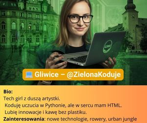 Miasta woj. śląskiego na portalach randkowych. Zakochaj się w Sosnowcu, Bytomiu i Tarnowskich Górach