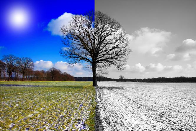 Znalezione obrazy dla zapytania: wiosna i zima