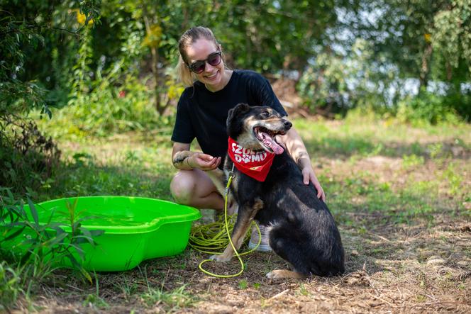 Wybieg dla psów w schronisku dla bezdomnych zwierząt w Zamościu - Czaki