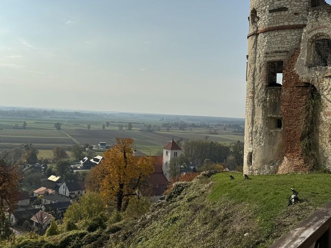 Tak wygląda Janowiec nad WIsłą w jesiennej odsłonie