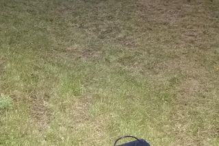 Bałagan na skateparku na Gronowie