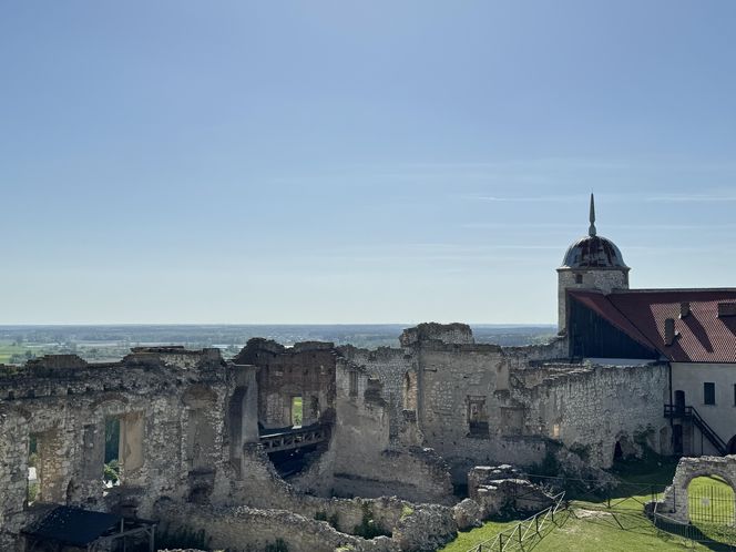 Pomysł na wycieczkę z całą rodziną. Odwiedźcie zamek w Janowcu! [ZDJĘCIA]