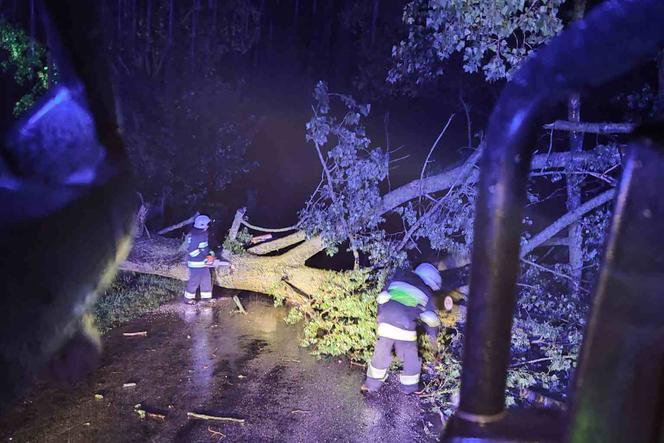 Burze w województwie podlaskim: Połamane drzewa, zalane ulice [ZDJĘCIA]