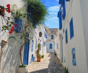 Sidi Bou Said, Tunezja