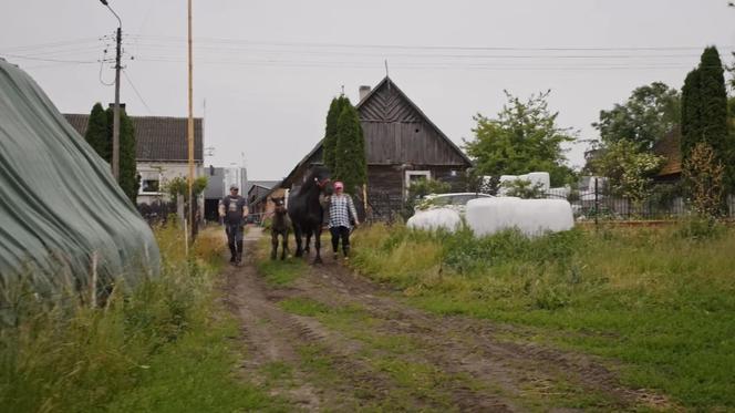 Gospodarstwo Jarka i Agnieszki z Bronowa