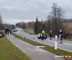 Wypadek na DK75 w Gnojniku. Zderzenie motocykla z samochodem