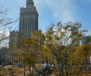 Muzeum Sztuki Nowoczesnej w Warszawie