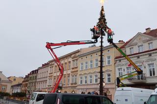 Trwa montaż świątecznej choinki na Rynku w Rzeszowie