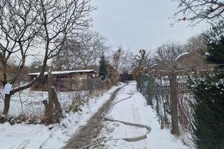 Pożar na działkach w Zielonej Górze