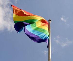 Związki partnerskie w Polsce. Czy Polacy są na „tak”? Najnowszy sondaż nie pozostawia złudzeń!