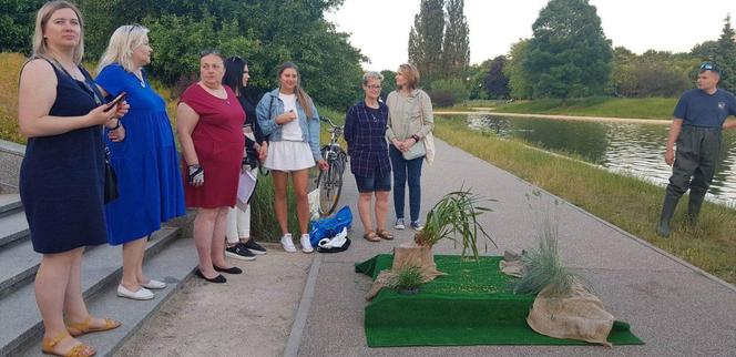 Mieszkańcy Targówka zrobili wyspę dla kaczek, urzędnicy wyrzucili ją w błoto