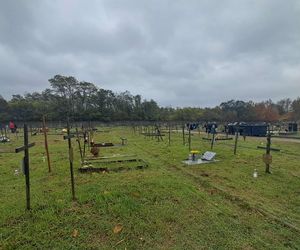 Rekordowa akcja Światełko Pamięci. Uczniowie z Łodzi porządkowali opuszczone groby