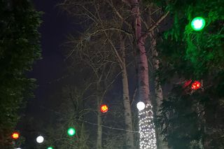 Garden of Lights w Szczecinie