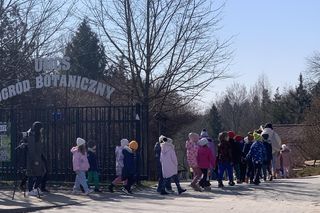 Lublinianie pożegnali zimę i powitali wiosnę! W Ogrodzie Botanicznym odbyło się topienie Śmiercichy