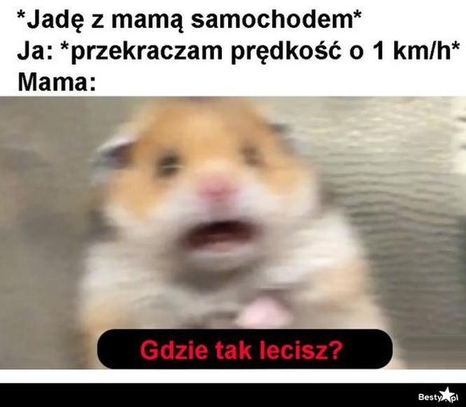 Memy o samochodach
