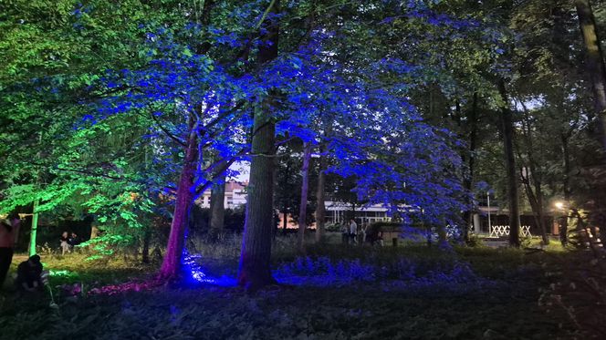 Olsztyn zamienił się w magiczną krainę. Park Świateł przyciągnął tłumy!